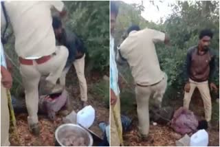 Forest officer beaten sandalwood tree thieves  in Tumkur