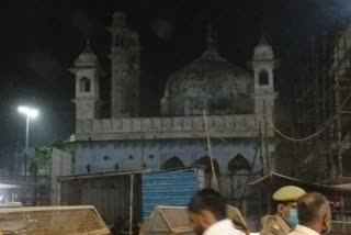 Gyanvapi Mosque Dispute: muslim petitioner happy on allahabad high court stay order