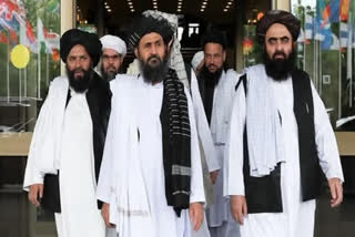 Taliban govt