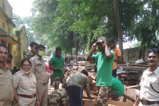 Wood smuggling in Sarand