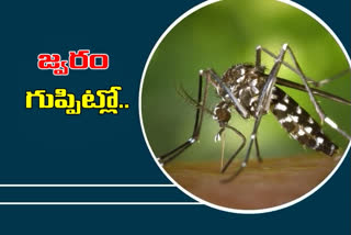 Dengue fever, malaria cases increased