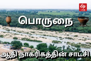 பொருநை