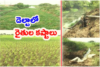 Paddy Former Struggle at west Godavari delta