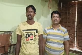 brownsuger seize in jaleswar two arrested