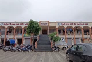 navsari apmc