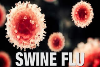 swine flu