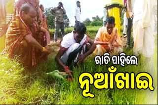 all preparation complete for Nuakhai festival in bolangir