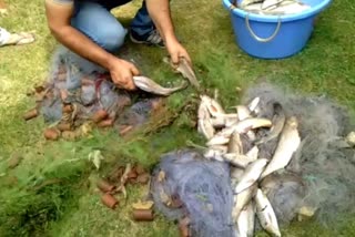 اننت ناگ: غیر قانونی طور مچھلیوں کا شکار کرنے والوں کے خلاف کارروائی