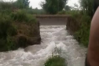 500 acres of cotton crop ruined due