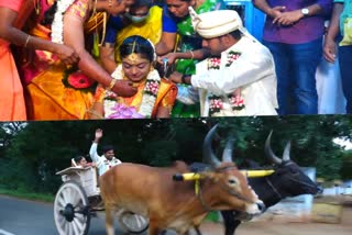 புதுமண தம்பதி மாட்டுவண்டி பயணம், newly married couple first ride in rekla vehicle