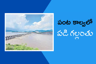 the-man-fell-into-the-polavaram-crop-canal-and-drowned