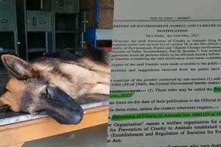 action-will-be-taken-against-un-registered-dog-breeding-cente