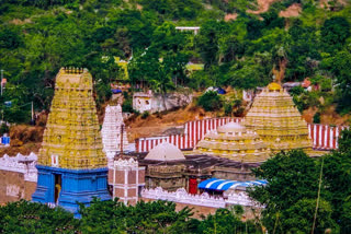 international-recognisation-simhachalam-temple