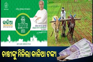 ଚାଷୀଙ୍କୁ ମୁଖ୍ୟମନ୍ତ୍ରୀଙ୍କ ନୂଆଁଖାଇ ଉପହାର: 37 ଲକ୍ଷଙ୍କ ଆକାଉଣ୍ଟକୁ ଗଲା 743 କୋଟି ‘କାଳିଆ’ ସହାୟତା