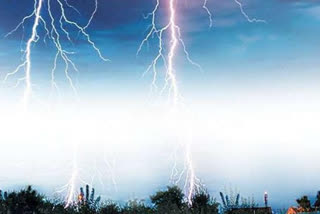 5 cattle died due to lightning in koriya