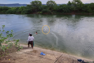 The body of a student who went missing yesterday was found in the Sagar canal