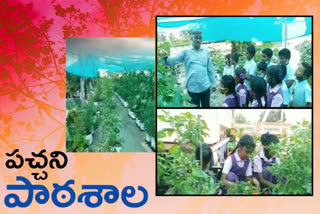 Rooftop Cultivation at pyaparru govt school