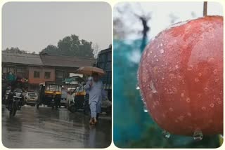 rains bring relief from heat in anantnag