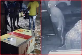 attempt to steal atm in karsog