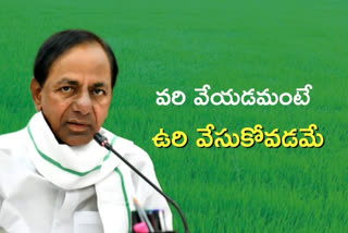 CM KCR On Rice crop