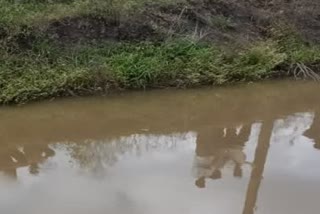 two-boys-dead-who-went-swim-in-farm-pond