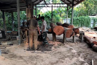 Saw mill seized at bilashipara east