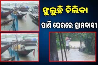 ଲଗାଣ ବର୍ଷାରେ ଫୁଲିଲା ଚିଲିକା: ବୁଡ଼ିଲା ଶହ ଶହ ଡ଼ଙ୍ଗା, ଜଳବନ୍ଦୀରେ ଗ୍ରମବାସୀ