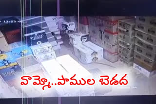 మద్యం దుకాణంలో పాములు