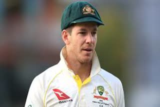 Tim Paine