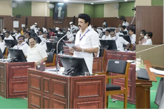 MK Stalin