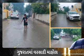 અનરાધાર વરસાદ