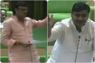 nathi ka bada in rajasthan vidhan sabha