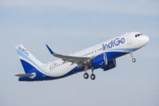 New Indigo flights  new domestic flights  IndiGo  new air routes  ഇൻഡിഗോ  ഇൻഡിഗോ എയര്‍ലൈന്‍  പുതിയ സര്‍വീസ്  6E നെറ്റ്‌വര്‍ക്ക്