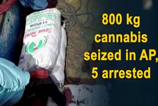 800 kg cannabis seized in Andra pradesh