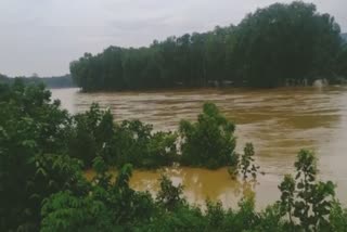 Floods Situation in  Nayagarh