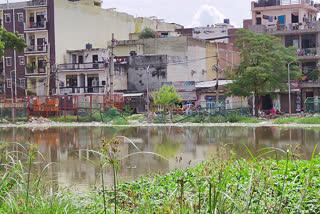 water logging