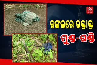 ଗୁଣି ଗାରେଡି ସନ୍ଦେହରେ ବୃଦ୍ଧଙ୍କୁ ହତ୍ୟା ଅଭିଯୋଗ, ମାଟି ତଳୁ ମୃତଦେହ ଉଦ୍ଧାର