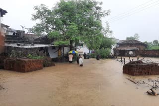 torrential rain in balod