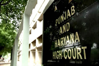 punjab haryana high court