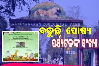 ନନ୍ଦନକାନନରେ ମନପସନ୍ଦର ଜୀବଜନ୍ତୁଙ୍କ ପୋଷ୍ୟ କରୁଛନ୍ତି ପର୍ଯ୍ୟଟକ, ଏ ଯାଏଁ 439 ସାମିଲ