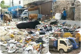 craggy jaipur city cleaning system