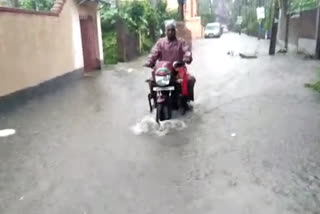 South Bengal Rain
