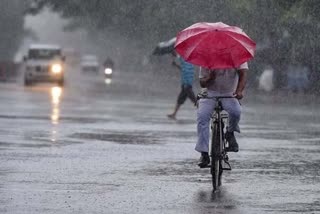 Heavy Rain In Haryana