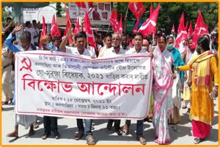 cpim moved against assam cattle preservation act 2021