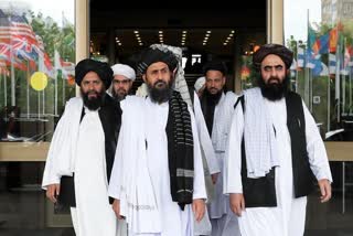 Taliban co-founder Mullah Baradar fled to Kandahar after brawl with Khalil Haqqan