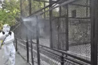 Alipore zoo in Kolkata reopens after 5 months
