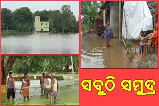 ଯାଜପୁରରେ ବନ୍ୟା ପରିସ୍ଥିତି: ଶହେରୁ ଊର୍ଦ୍ଧ୍ବ ଗାଁ ଜଳବନ୍ଦୀ, ଜିଲ୍ଲା ପ୍ରଶାସନର ଅବହେଳା ଅଭିଯୋଗ