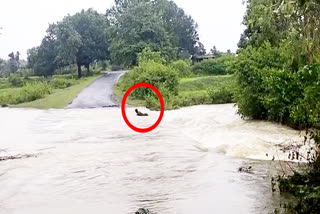 A young man crossing overflowing drain