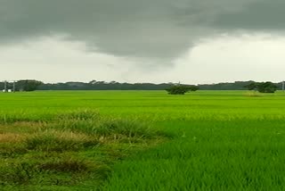 প্রবল বৃষ্টির মধ্যে টর্নেডোর দেখা মিলল কেশিয়াড়িতে