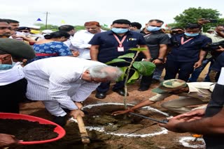 CM Baghel planting saplings